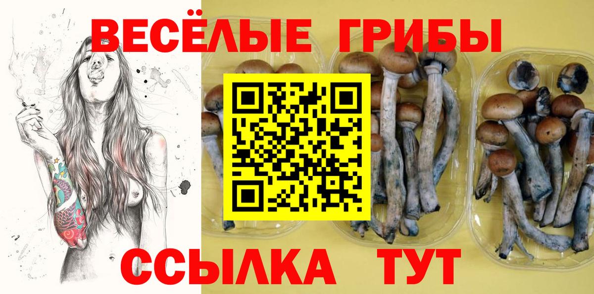 LSD-25 Краснокамск
