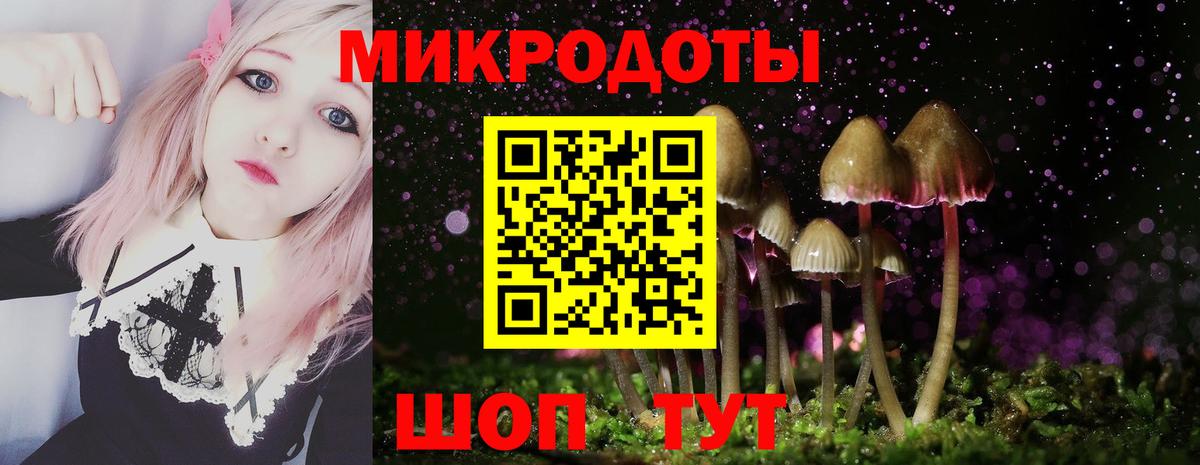 Галлюциногенные грибы Cubensis  Псилоцибиновые грибы мицелий  Краснокамск  где купить наркоту  Вход с VPN 